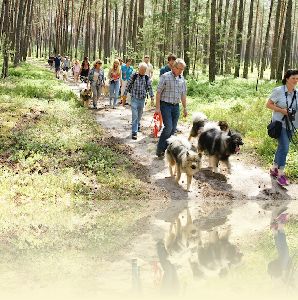 Spaziergang in Hilpoltstein am 14.06.2015